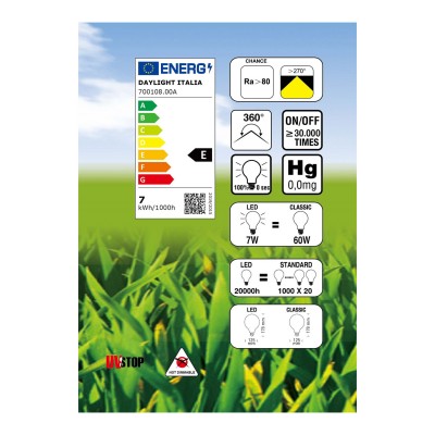 Filament LED Glühbirne Globo 7W E27 klar 2700K