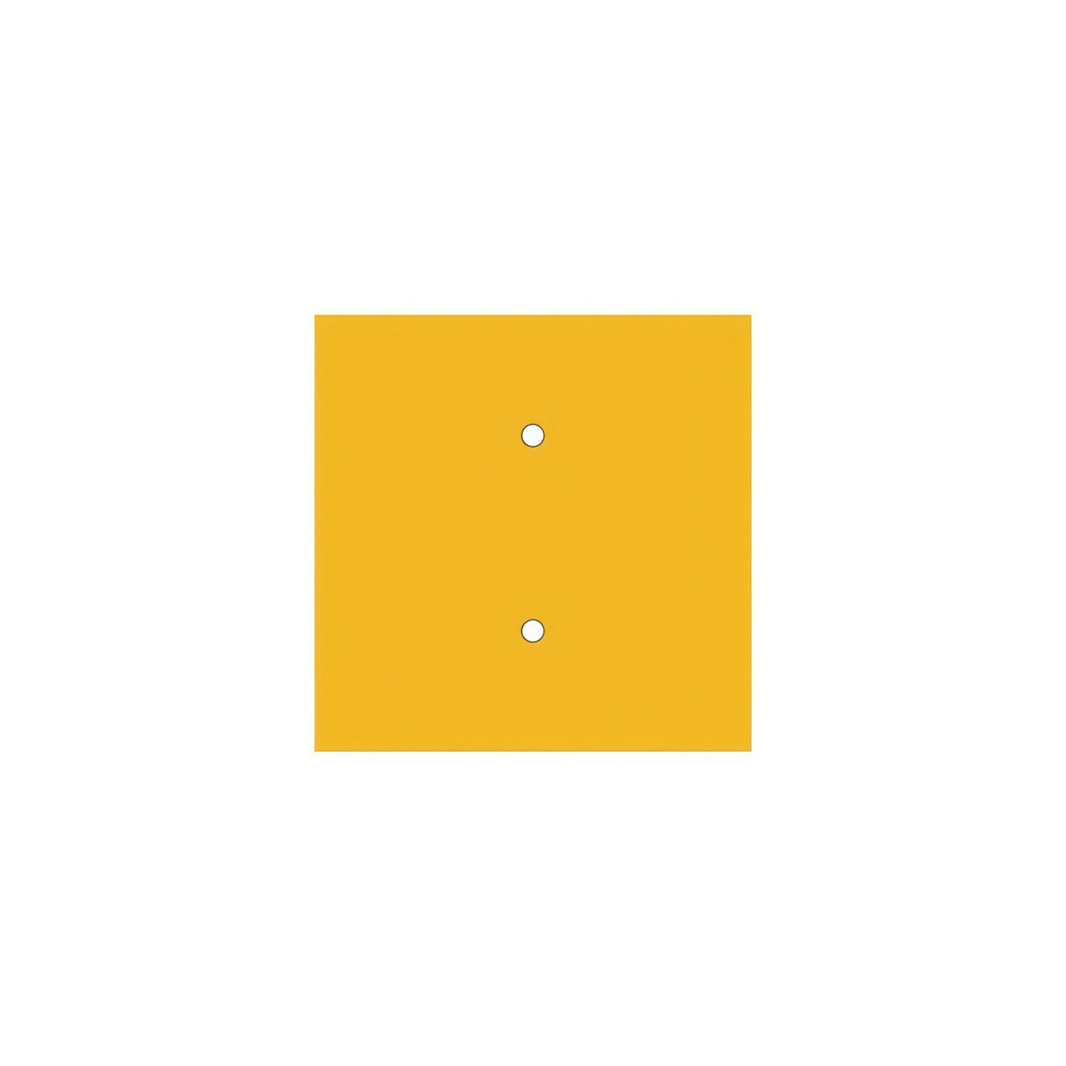 Quadratisches 2-Loch und 4 Seitenlöchern Lampenbaldachin, Rose-One-Abdeckung, 200 mm