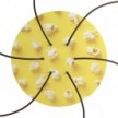 Rundes XXL 6-Loch und 4 Seitenlöchern Lampenbaldachin, Rose-One-Abdeckung, 400 mm Durchmesser- PROMO
