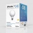 Ampoule LED Effet Porcelaine IRC 95 G95 12W 1521Lm E27 2700K Dimmable - P08