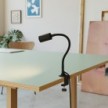 Pince de table MAG-Y