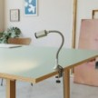 Pince de table MAG-Y