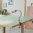 Pince de table MAG-Y