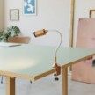 Flexibler MAG-Y Spot mit Klemme