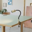 Flexibler MAG-Y Spot mit Klemme