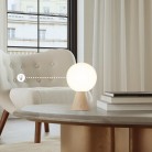 CABLESS11 CONFIG - UN3481 LITHIUM ION BATTERIES, 9 5300