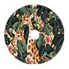 Tiere Giraffen